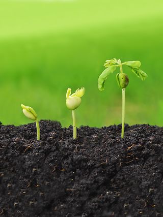 Schmuckbild Ausblick und Strategie